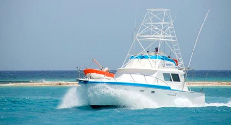 Puerto Vallarta Boat, Yacht & Fishing Charters